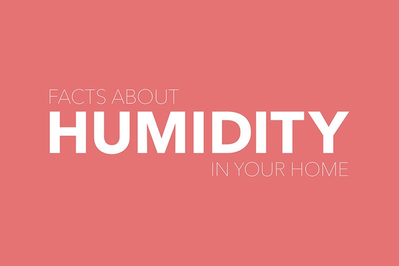 Video - Facts about humidity.