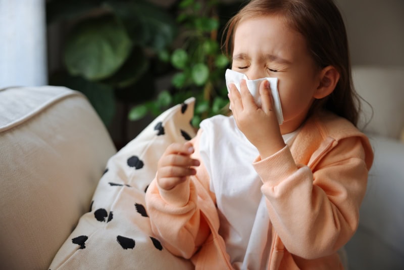 5 Signs of Poor Air Quality in Your Commercial Property. choolgirl coughs and blows nose wiping with white paper napkin.