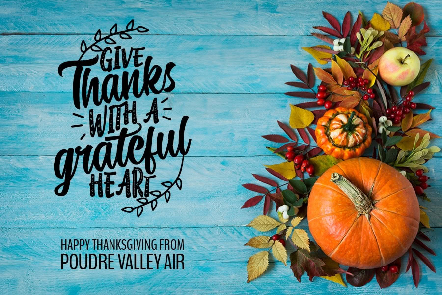 Happy Thanksgiving!||